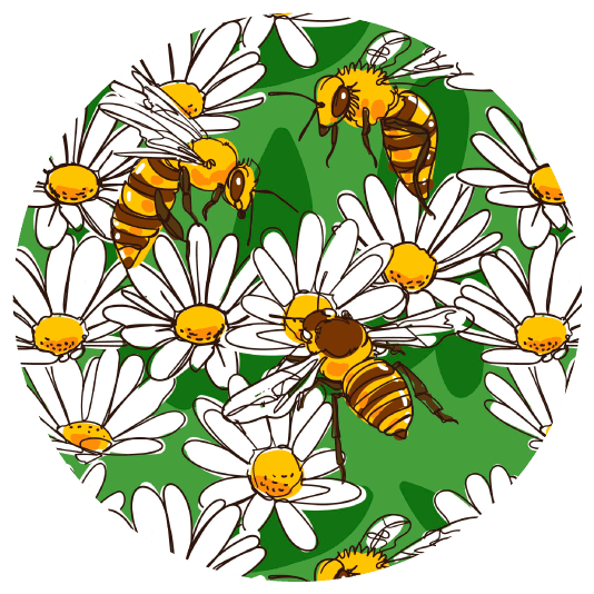 ABEJAS-ecomil